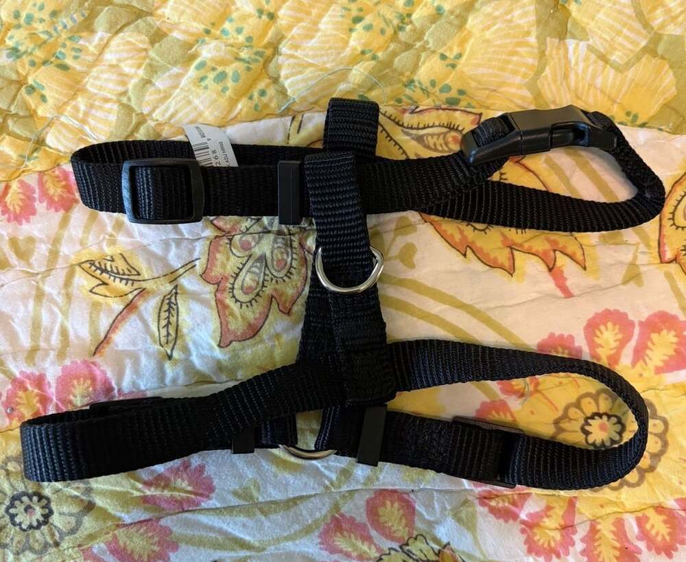 Coastal Pet Products Nylon Comfort Wrap Adjustable Dog Harness, 3/4-Inch, Black